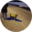 William C.,LocalServices