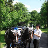 noch schnell die Pferde kämmen