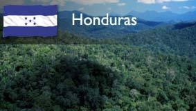 [imagenesifotos%2520%2520independencia%2520de%2520honduras%2520%252811%2529%255B2%255D.jpg]