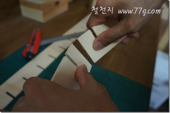 철천지DSC03616-20120619-164726