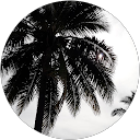 Image Google de Kadou Romal