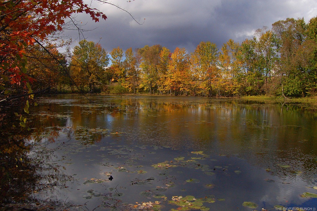 [DSC_0010-3%255B4%255D.jpg]