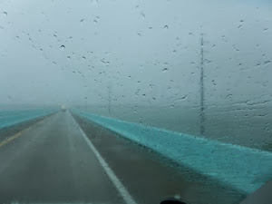 P1020194.JPG P1020194