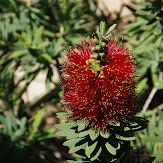 140406_15h_bc.jpg