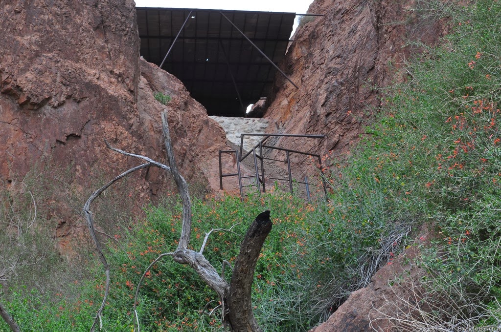 [DSC_0014%255B3%255D.jpg]