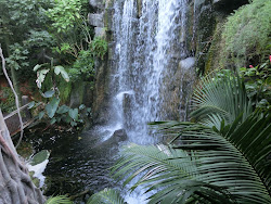 2012-10-20 Mallorca by BREITENGRAD53 - 202