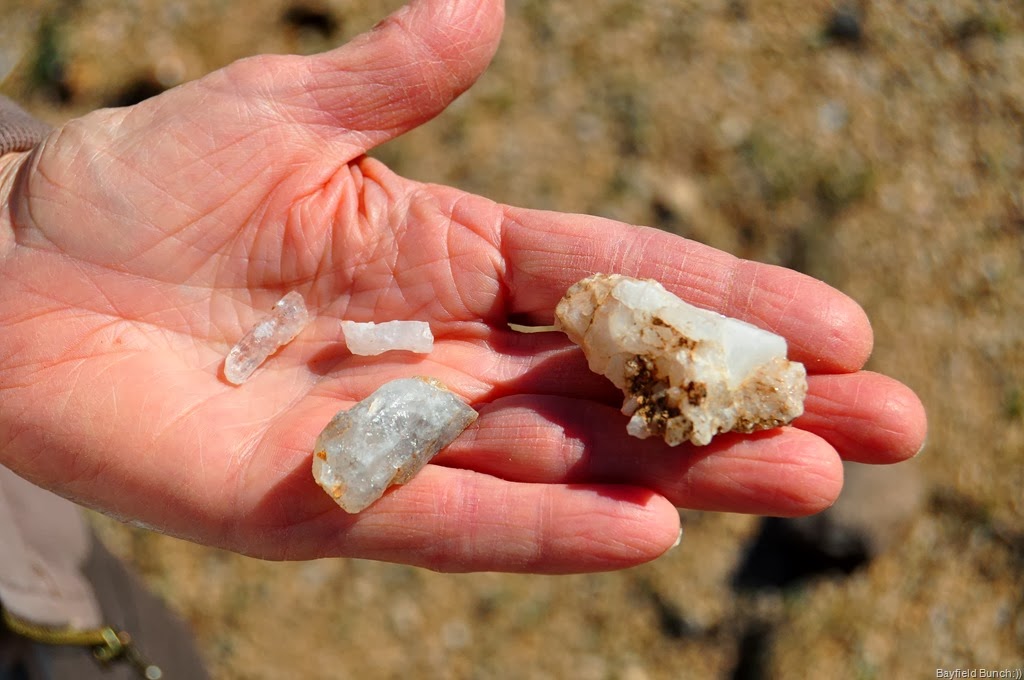 [DSC_0010%255B4%255D.jpg]