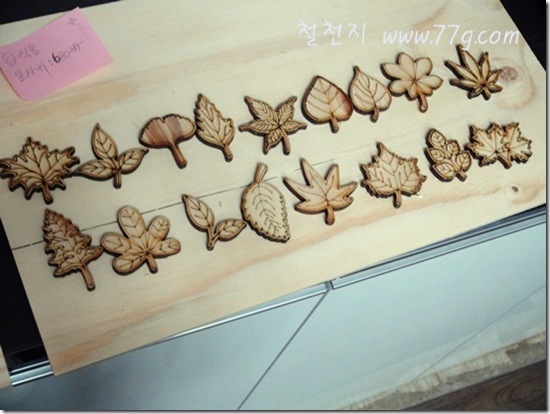 철천지DSC01363-20121030-161037