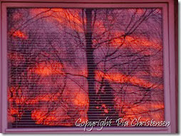Solopgang i vinduet 1.1.2014 