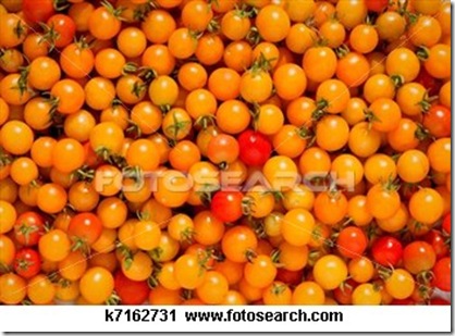 cherry-tomato_~k7162731