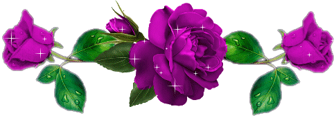 vio.png
