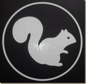 White Squirrel Snack Shop (1)
