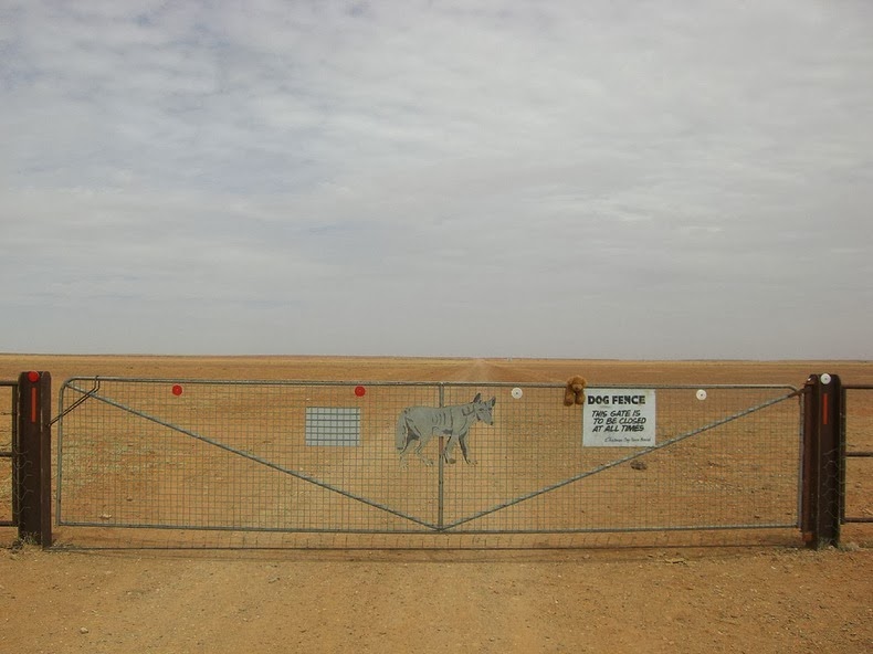 dingo-fence-5 dingo-fence-5
