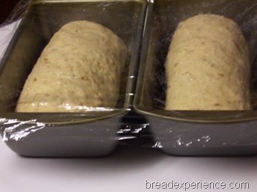 [sprouted-emmer-bread%2520029%255B1%255D.jpg]