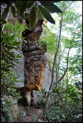 24 - Rock Garden Trail - Cliffs are getting higher and higher