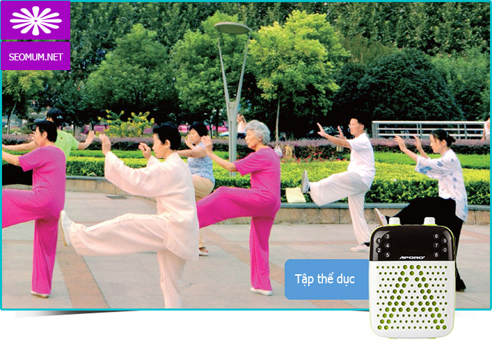 Máy trợ giảng không dây Aporo T6