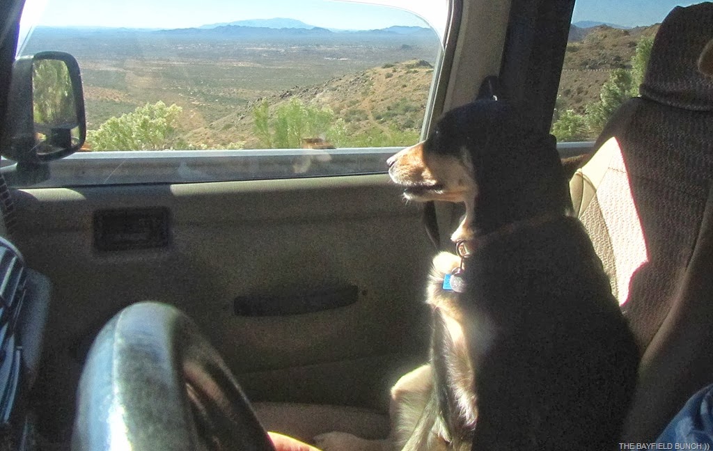 [IMG_0821%255B4%255D.jpg]