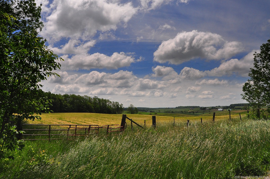 [DSC_0006%255B4%255D.jpg]