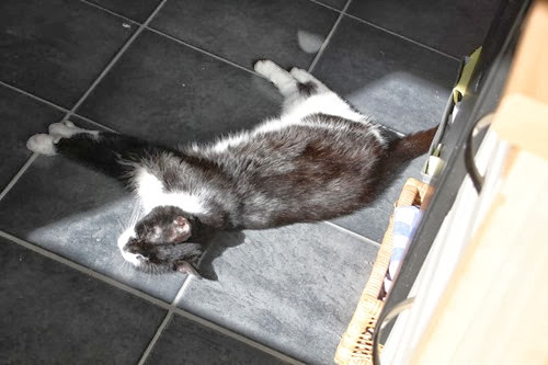 20100308 (3) (Large)