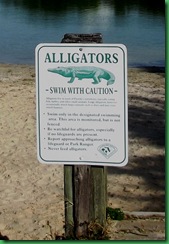 Alligator sign