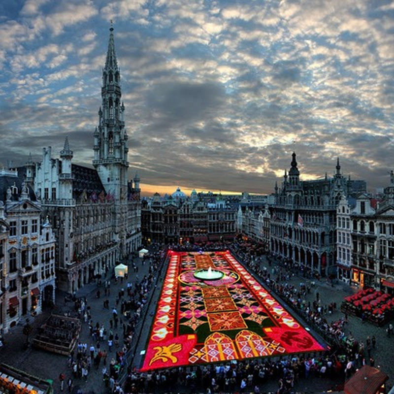 Цветочные ковры Брюсселя