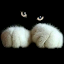 Hovancsik Kitti