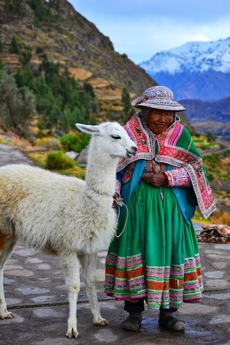 Imagini Peru: Localnica cu lama la Colca Canyon langa Arequipa