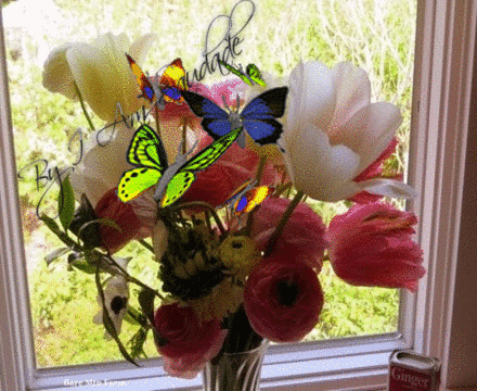z.gif