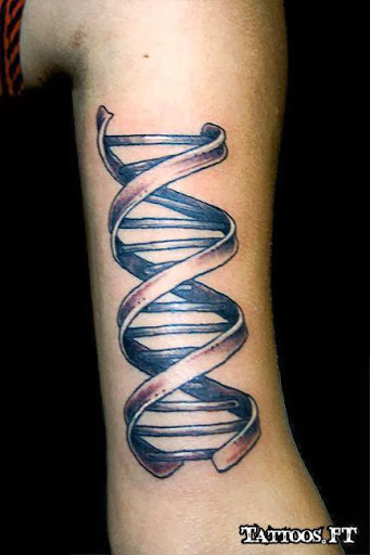 Dna Tattoo Ideas Other tattoos tattoos pictures