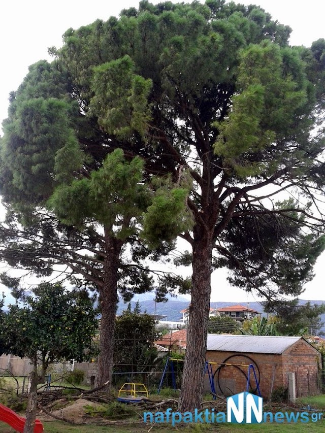 2012-01-01 13.25.59.jpg