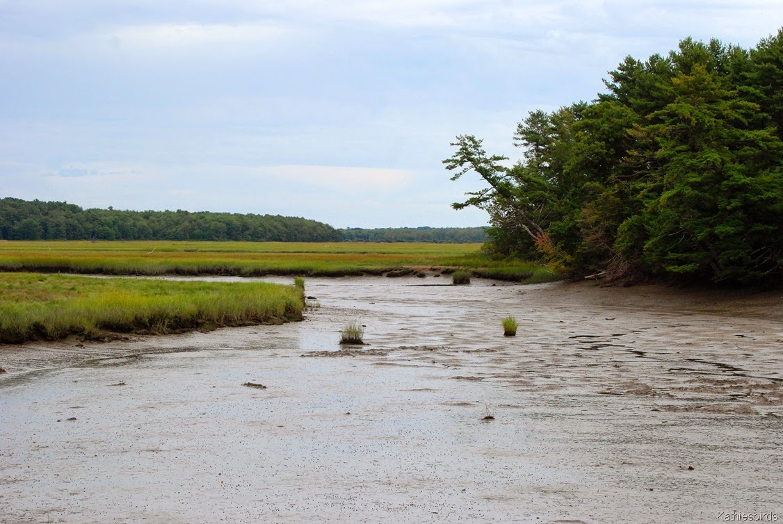 [15.%2520mudflats-kab%255B3%255D.jpg]