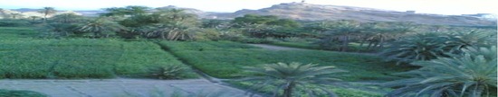 منظر من وادي لحج3 (2)