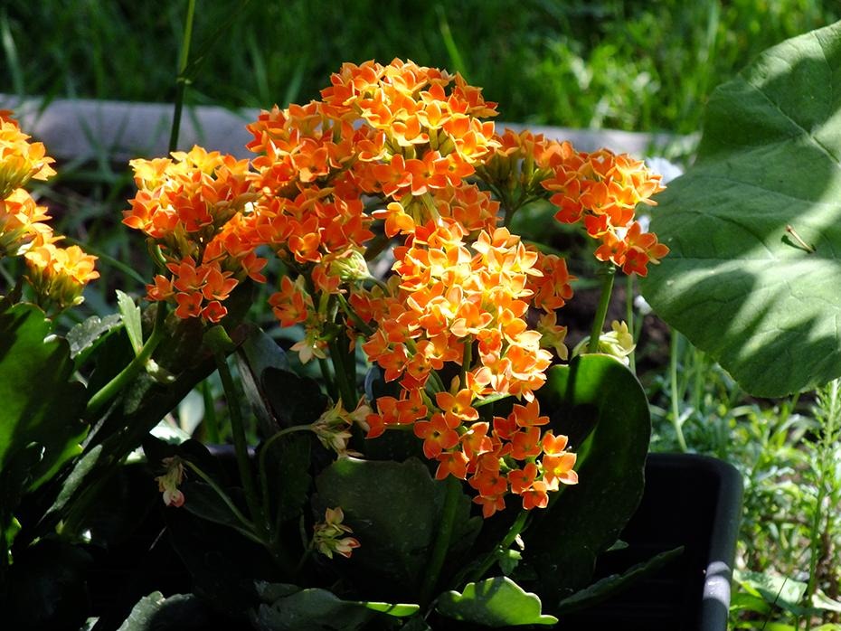 [DSCF0301_re%255B2%255D.jpg]