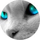 Отзывы 10 Avatar