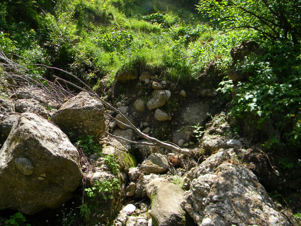 [DSCN34553.jpg]
