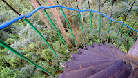 DSCF2149.JPG