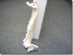 Your Spine Deserves Better!