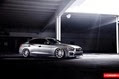 Vossen-5