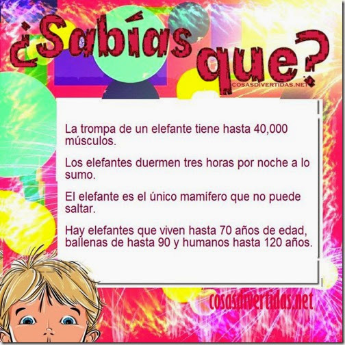 2 curiosidades cosasdivertidas net 6 2 2 curiosidades cosasdivertidas net 6 2