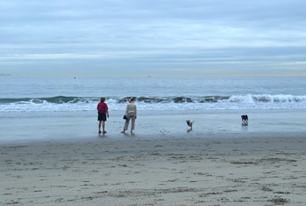 the Dog Beach on Coronado