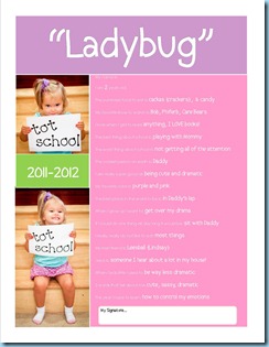School Questionairre Ladybug