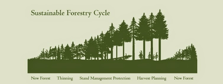 [sustainable-forestry-cycle%255B4%255D.jpg]
