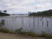 Austr_533_12.11.2007.JPG