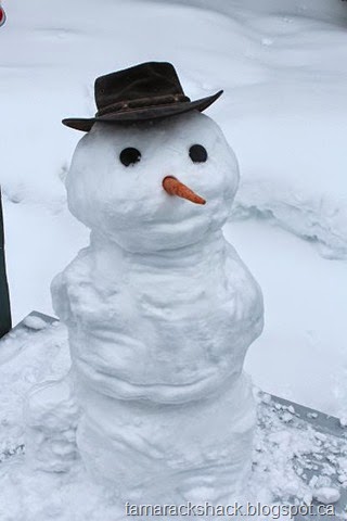 [snowman%255B5%255D.jpg]