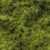 Seamless backgrounds of mosses16