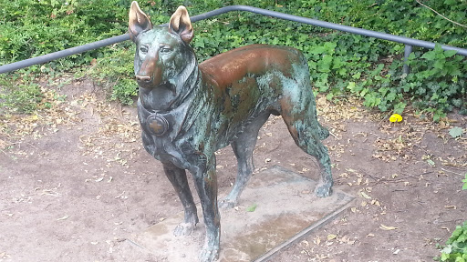 Hunde Statue