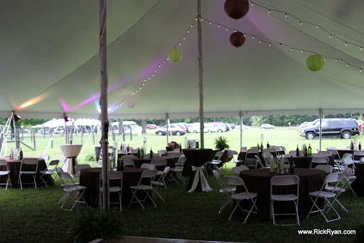 wedding drapery