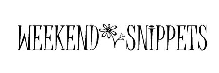 Weekend Snippet Icon