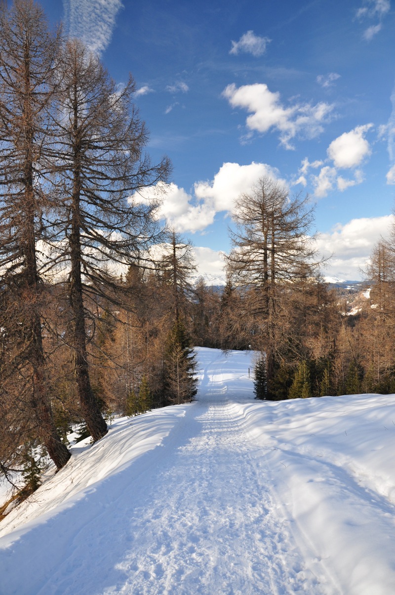 DSC_8133.jpg DSC 8133