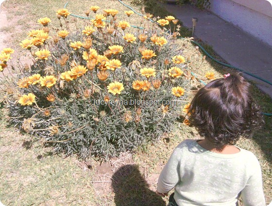 120327 Mira los pequeños y hermosos milagros de la vida niña RG viendo flores